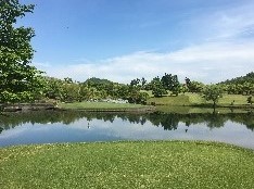 IMG_1131--.jpg